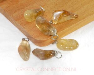 Kundalini-citrien hanger