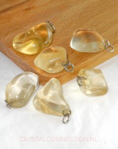 Citrien hanger getrommeld