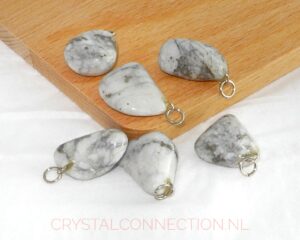 Howliet met pyriet hanger