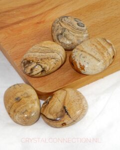 Landschapsjaspis doorboorde hanger