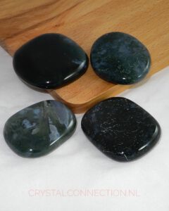 Mosagaat schijfsteen