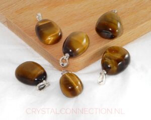 Tijgeroog hanger met zilver oogje